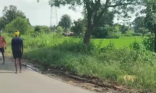 40 हाथियों ने मचाया उत्पात, फसल चौपट