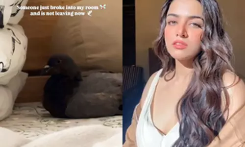 Vamika Gabbi ने कहा- ‘कोई उनके कमरे में घुस आया’
