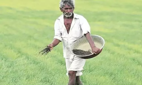 प्रधानमंत्री किसान एपिसोड 18 से पहले अपने गांव की नई सूची ऐसे देखे प्रधानमंत्री किसान एपिसोड 18 से पहले अपने गांव की नई सूची ऐसे देखे