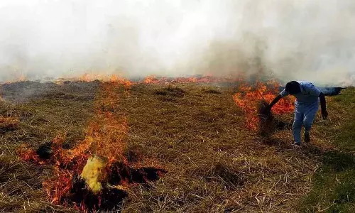 Punjab: उम्मीदवारों ने खेतों में आग लगने की घटनाओं में किसानों को बचाने की शपथ ली