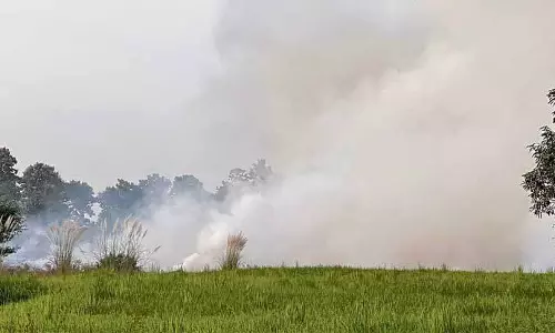 Punjab: ‘लाल प्रविष्टियाँ’ कम हुईं, अपराधियों के विरुद्ध दंडात्मक कार्रवाई बढ़ी