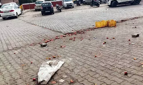 Solan सब्जी मंडी में सड़ी हुई सब्जियां