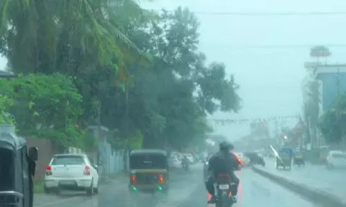 Kerala Rain: IMD ने 5 जिलों के लिए येलो अलर्ट जारी किया