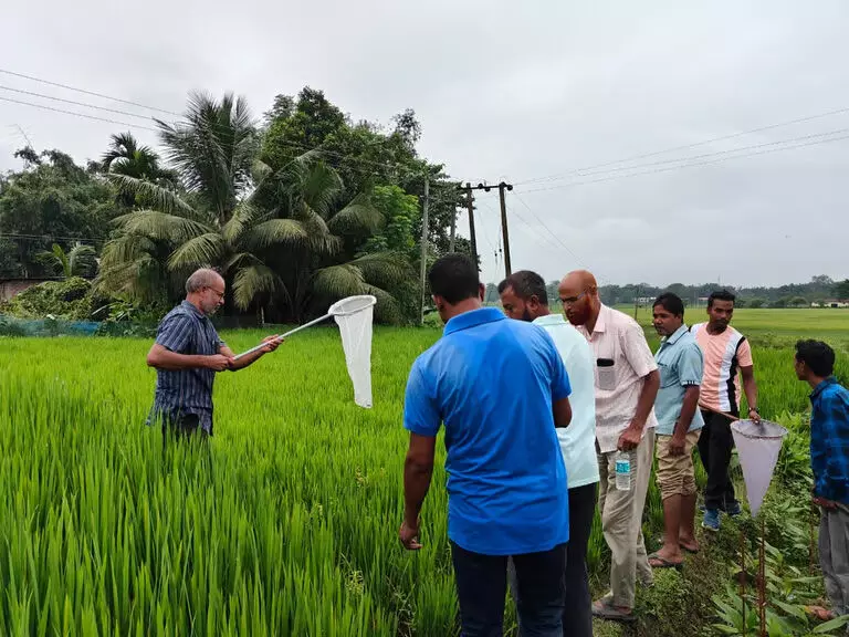 Assam : दर्रांग जिले में कीट प्रबंधन पर किसानों का प्रशिक्षण कार्यक्रम संपन्न हुआ