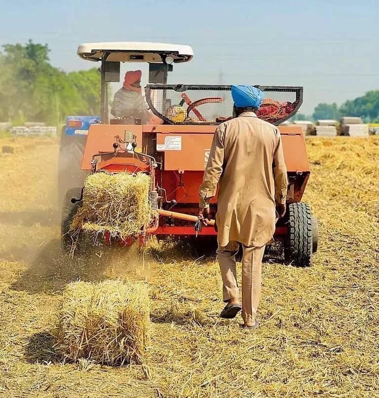 Jalandhar: चुनाव आचार संहिता लागू, पराली प्रबंधन मशीनों के लिए किसानों का इंतजार लंबा