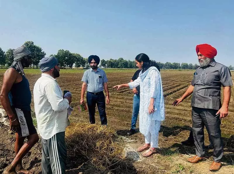 DC ने खेतों में आग लगने वाले स्थानों का औचक निरीक्षण किया