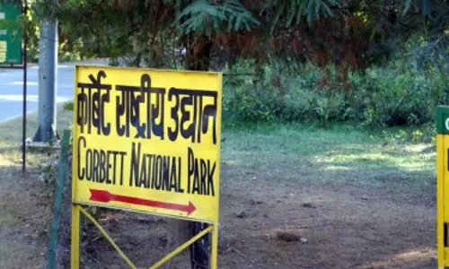 वन्यजीव सप्ताह : मशहूर शिकारी के नाम पर रखा गया जिम कॉर्बेट नेशनल पार्क का नाम, बंगाल टाइगर है यहां की खासियत