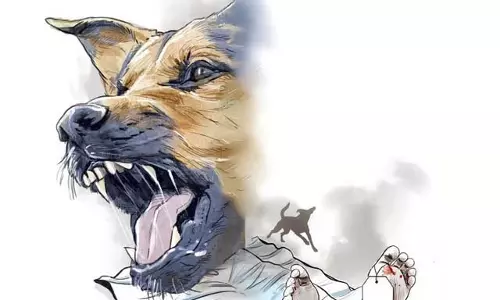 The bitter truth: तमिलनाडु में रेबीज से मौतें और कुत्तों के काटने की घटनाएं बढ़ीं