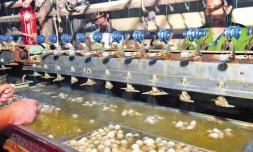 Andhra : मदनपल्ले कोकून की बिक्री में भारी गिरावट Andhra : मदनपल्ले कोकून की बिक्री में भारी गिरावट