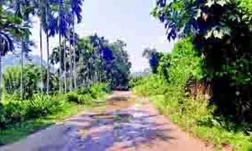 Meghalaya : ब्रिचिरनॉट गांव ने महत्वपूर्ण सड़क की मरम्मत के लिए डीसी से गुहार लगाई