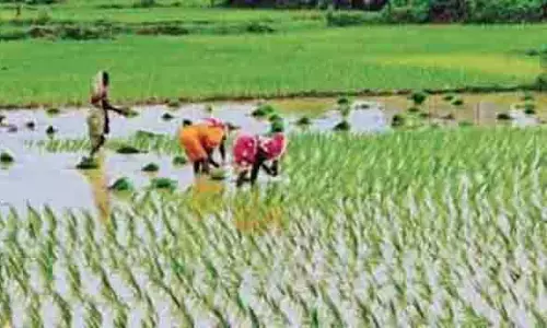 TN : किसानों ने कहा, तमिलनाडु सरकार को सीमावर्ती गांवों को नगरपालिका में नहीं मिलाना चाहिए