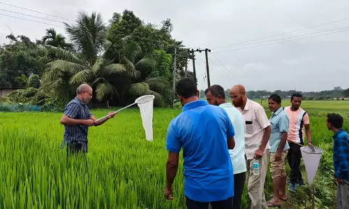 Assam : दर्रांग जिले में कीट प्रबंधन पर किसानों का प्रशिक्षण कार्यक्रम संपन्न हुआ Assam : दर्रांग जिले में कीट प्रबंधन पर किसानों का प्रशिक्षण कार्यक्रम संपन्न हुआ