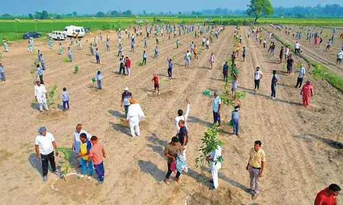 Haryana : सोनीपत में स्थापित हुआ हरियाणा का सबसे बड़ा ऑक्सीजन गार्डन, लगाए गए 5,000 पौधे