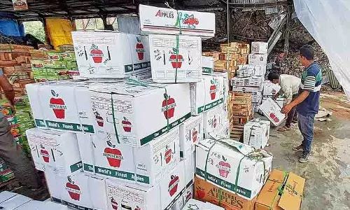 Himachal : खराब कीमतों से परेशान, उत्पादक चाहते हैं कि एचपीएमसी मार्केटिंग की भूमिका में हो Himachal : खराब कीमतों से परेशान, उत्पादक चाहते हैं कि एचपीएमसी मार्केटिंग की भूमिका में हो