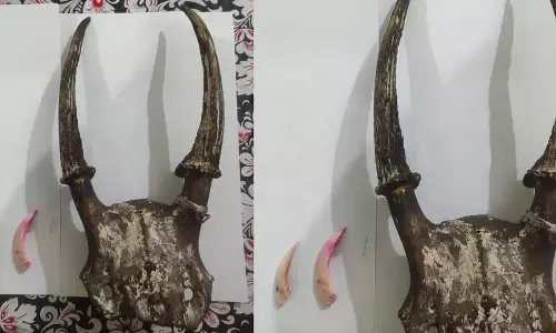 Assam : चिरांग में वन्यजीव तस्कर गिरफ्तार