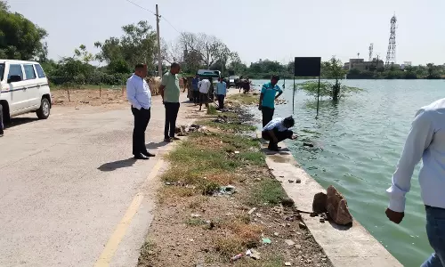 Jalore: सुन्देलाव तालाब में मर रही मछलियों की जांच लिया जायजा Jalore: सुन्देलाव तालाब में मर रही मछलियों की जांच लिया जायजा