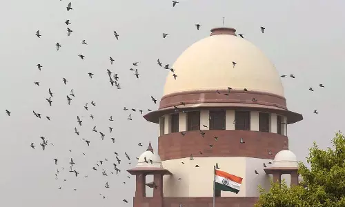 वरिष्ठ डॉक्टर Bengal में चिकित्सकों पर हुए हमलों की सूची के साथ SC में याचिका दायर करेंगे वरिष्ठ डॉक्टर Bengal में चिकित्सकों पर हुए हमलों की सूची के साथ SC में याचिका दायर करेंगे