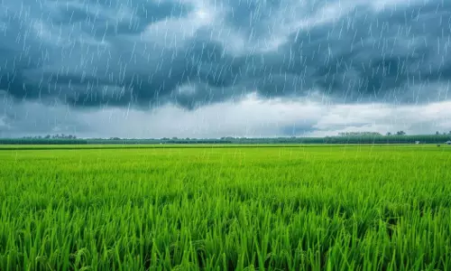 Bihar: मानसून अभी भी सक्रिय, कई जिलों में हल्की बूंदाबांदी की संभावना