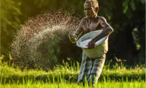 Haryana में मतदान के दिन किसानों को मिलेगी सौगात Haryana में मतदान के दिन किसानों को मिलेगी सौगात