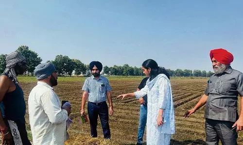 DC ने खेतों में आग लगने वाले स्थानों का औचक निरीक्षण किया