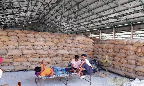 Kohala को छोड़कर किसी भी मंडियों में धान की खरीद नहीं हुई Kohala को छोड़कर किसी भी मंडियों में धान की खरीद नहीं हुई