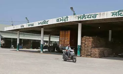 Jalandhar: आढ़तियों की हड़ताल के चलते अनाज मंडियां बंद
