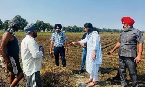 DC ने खेतों में आग लगने वाले स्थानों का औचक निरीक्षण किया