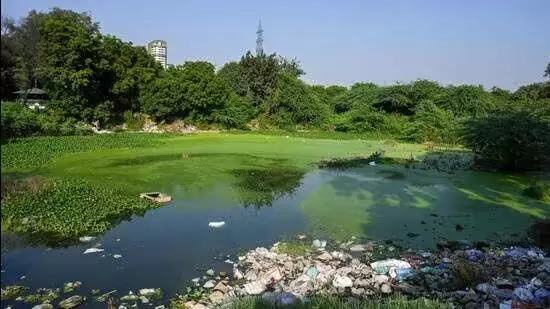 Noida: नोएडा शहर के दो तालाबों को पर्यटक आकर्षण के रूप में विकसित करेगा