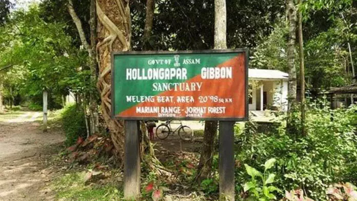 Hollongapar गिब्बन अभयारण्य के पास उत्खनन का नागरिकों ने किया विरोध