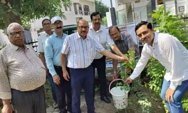 Muzaffarnagar: अभियान के अंतर्गत दि ओरिएंटल इंश्योरेंस कंपनी लिमिटेड ने किया वृक्षारोपण