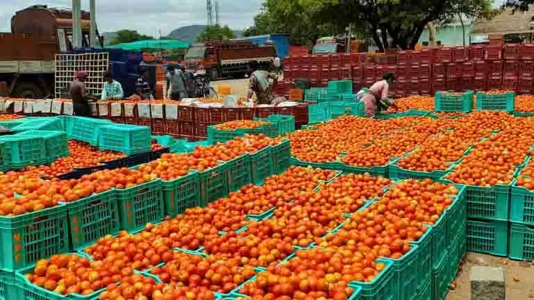 Andhra : मदनपल्ले में टमाटर की कीमतें आसमान छूकर 90 रुपये प्रति किलोग्राम पर पहुंच गईं