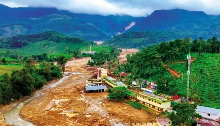 Wayanad Disaster:  उच्च न्यायालय ने केरल सरकार से आकलन के लिए मानदंड मांगा