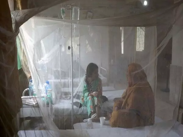 पाकिस्तान में Dengue के मामलों में वृद्धि, सरकार ने जारी किया अलर्ट