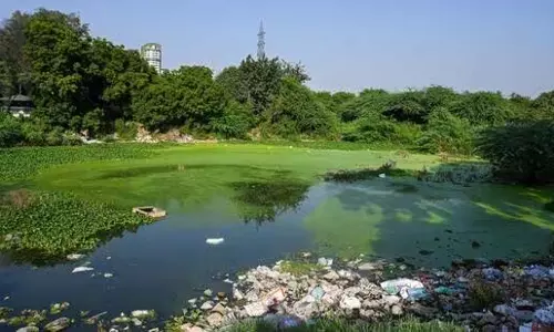 Noida: नोएडा शहर के दो तालाबों को पर्यटक आकर्षण के रूप में विकसित करेगा