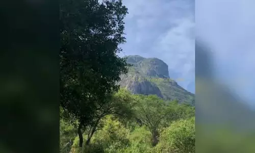 कोयंबटूर के मेलमुडी पहाड़ी मंदिर में ट्रेकर्स की भीड़ उमड़ी कोयंबटूर के मेलमुडी पहाड़ी मंदिर में ट्रेकर्स की भीड़ उमड़ी