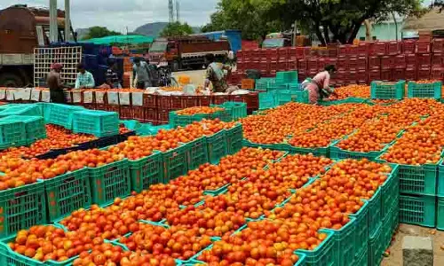 Andhra : मदनपल्ले में टमाटर की कीमतें आसमान छूकर 90 रुपये प्रति किलोग्राम पर पहुंच गईं Andhra : मदनपल्ले में टमाटर की कीमतें आसमान छूकर 90 रुपये प्रति किलोग्राम पर पहुंच गईं