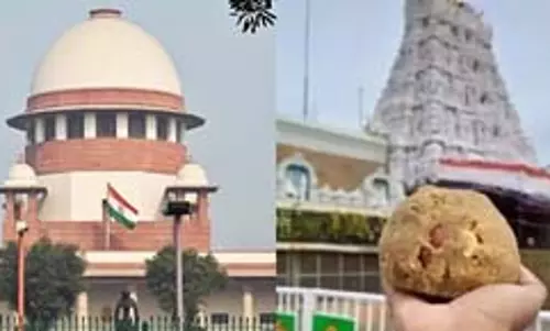 तिरुपति प्रसादम में मिलावट मामले में आज सुप्रीम कोर्ट में सुनवाई तिरुपति प्रसादम में मिलावट मामले में आज सुप्रीम कोर्ट में सुनवाई