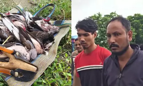 Assam : बाजाली जिले में कथित पक्षी शिकार के लिए दो युवक गिरफ्तार