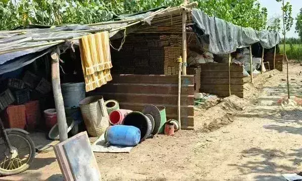 Budhana: पटाखा फैक्ट्री के पीछे खेत में अचानक जोरदार धमाका हुआ Budhana: पटाखा फैक्ट्री के पीछे खेत में अचानक जोरदार धमाका हुआ