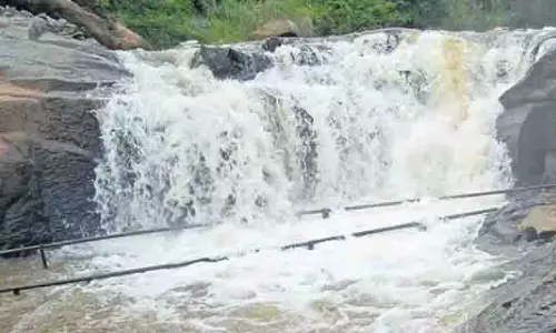 TN : टीएनजीईसी ने कोल्ली हिल्स हाइड्रो प्लांट पर काम फिर से शुरू किया, विशेषज्ञों ने व्यवहार्यता पर सवाल उठाए