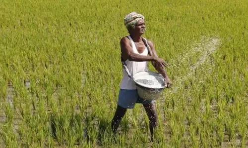 Odisha के चावल मिल मालिकों ने धान खरीद न करने की धमकी दी