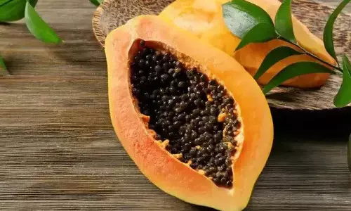 Papaya के बीज सेहत के लिए अच्छे होते Papaya के बीज सेहत के लिए अच्छे होते