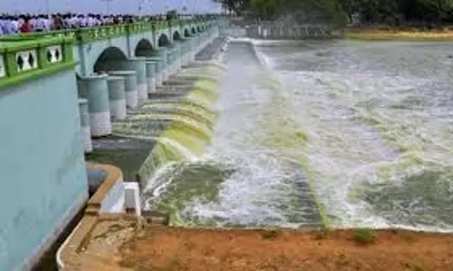 लड्डू विवाद: एआर डेयरी को एफएसएसएआई नोटिस का जवाब देने के लिए और समय मिला