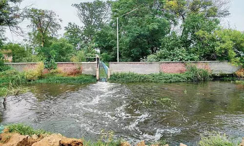 Punjab: अनुपचारित सीवेज, चमड़े के कारखाने सतलुज को प्रदूषित कर रहे