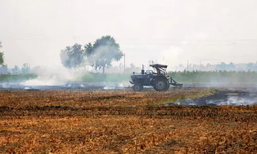 आदेशों की अनदेखी सुप्रीम कोर्ट ने Punjab , हरियाणा को फटकार लगाई आदेशों की अनदेखी सुप्रीम कोर्ट ने Punjab , हरियाणा को फटकार लगाई