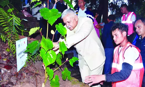 Meghalaya : नीपको ने डिम्पेप गांव में पर्यटन केंद्र को अपनाया