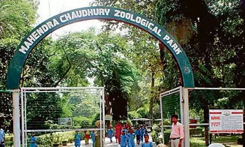 Chandigarh: छतबीड़ में वन्यजीव सप्ताह के उपलक्ष्य में कार्यक्रम आयोजित