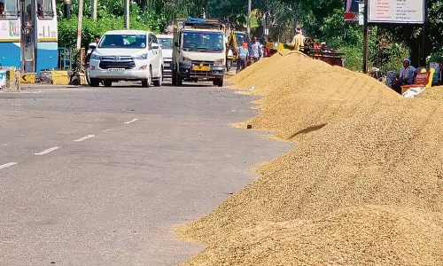 Haryana  में धान बेचने के लिए किसानों के संघर्ष के कारण खरीद केंद्र में