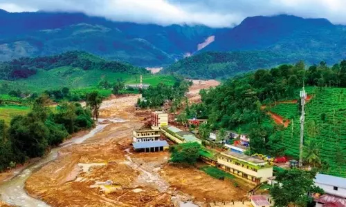 Wayanad Disaster:  उच्च न्यायालय ने केरल सरकार से आकलन के लिए मानदंड मांगा