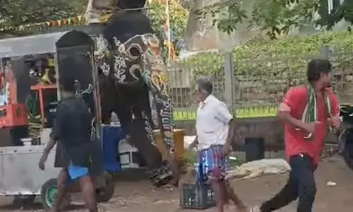 Karnataka: श्रीरंगपटना में दशहरा जंबो ने उत्पात मचाया